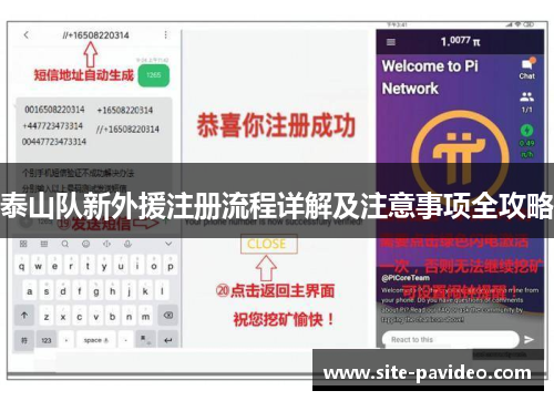 泰山队新外援注册流程详解及注意事项全攻略