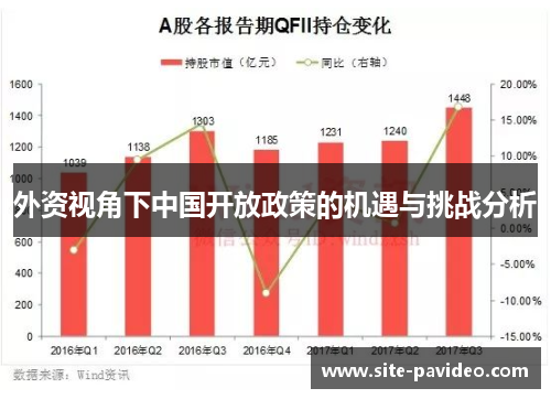 外资视角下中国开放政策的机遇与挑战分析