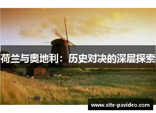 荷兰与奥地利：历史对决的深层探索