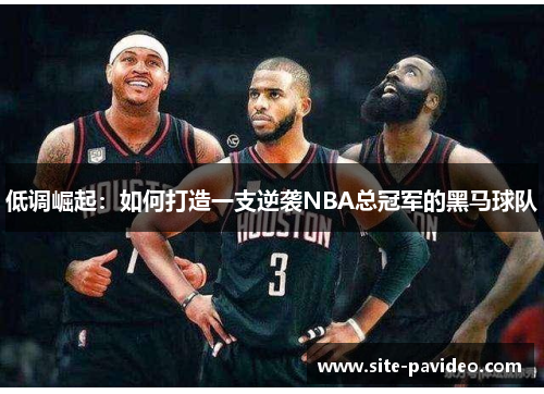 低调崛起：如何打造一支逆袭NBA总冠军的黑马球队