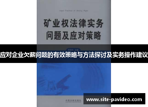 应对企业欠薪问题的有效策略与方法探讨及实务操作建议
