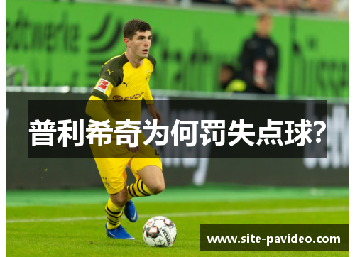 普利希奇为何罚失点球？