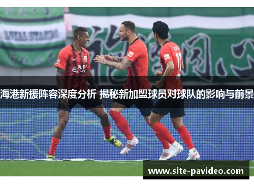 海港新援阵容深度分析 揭秘新加盟球员对球队的影响与前景