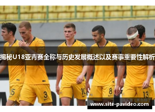 揭秘U18亚青赛全称与历史发展概述以及赛事重要性解析