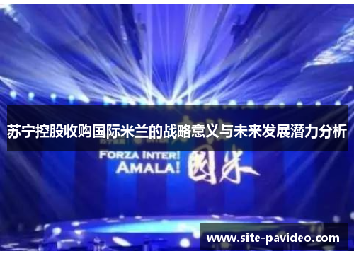 苏宁控股收购国际米兰的战略意义与未来发展潜力分析