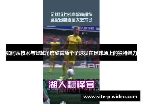 如何从技术与智慧角度欣赏矮个子球员在足球场上的独特魅力