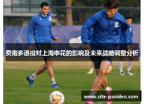 费南多退役对上海申花的影响及未来战略调整分析 费南多退役对上海申花的影响及未来战略调整分析