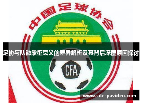 足协与队徽象征意义的差异解析及其背后深层原因探讨