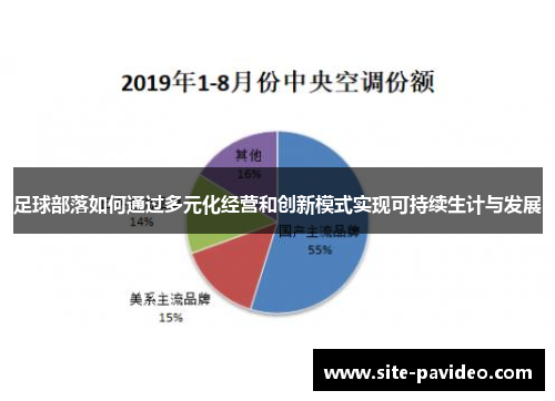 足球部落如何通过多元化经营和创新模式实现可持续生计与发展