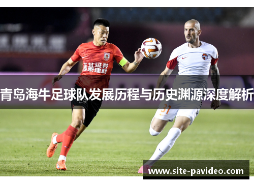 青岛海牛足球队发展历程与历史渊源深度解析 青岛海牛足球队发展历程与历史渊源深度解析