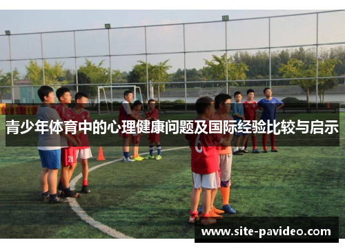 青少年体育中的心理健康问题及国际经验比较与启示