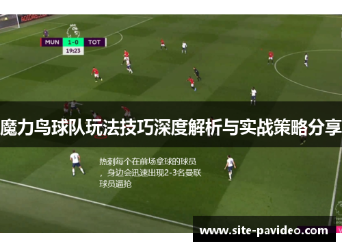 魔力鸟球队玩法技巧深度解析与实战策略分享