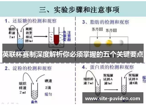 英联杯赛制深度解析你必须掌握的五个关键要点
