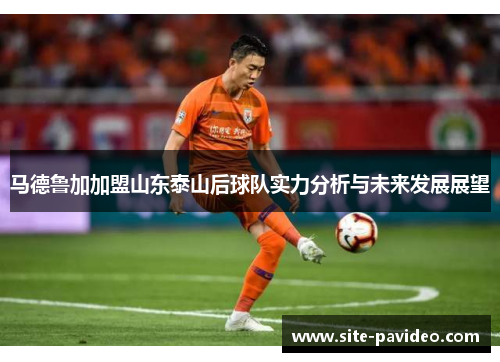 马德鲁加加盟山东泰山后球队实力分析与未来发展展望