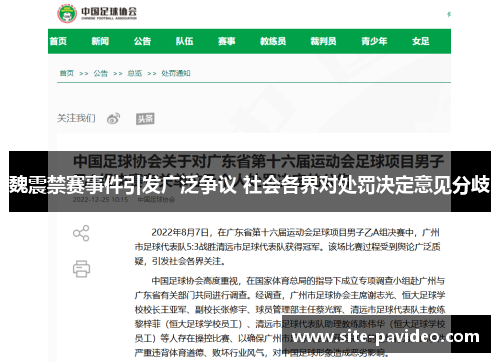 魏震禁赛事件引发广泛争议 社会各界对处罚决定意见分歧