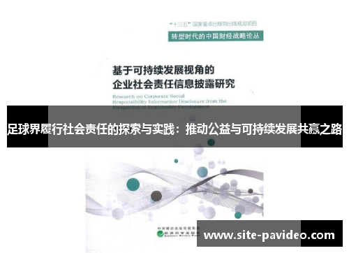足球界履行社会责任的探索与实践：推动公益与可持续发展共赢之路